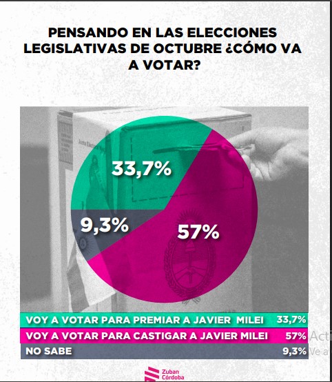 Encuesta: un 61,6% desaprueba el gobierno de Milei imagen-46
