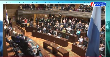 La Legislatura instituyó fechas conmemorativas, donó inmuebles a San Vicente y creó un programa de arborización con yerba mate La Legislatura instituyó fechas conmemorativas, donó inmuebles a San Vicente y creó un programa de arborización con yerba mate imagen-6