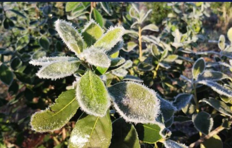 Terminó el invierno, fue más frio que lo normal (por Favio Cabello) 3 Terminó el invierno, fue más frio que lo normal (por Favio Cabello) imagen-2