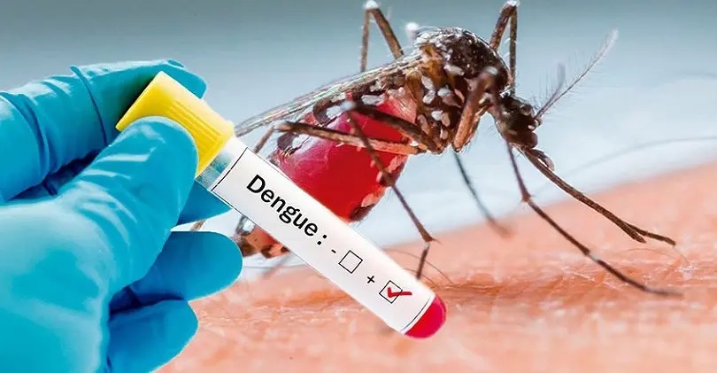 Estudio indica que es baja la percepción del riesgo del dengue en Posadas imagen-2