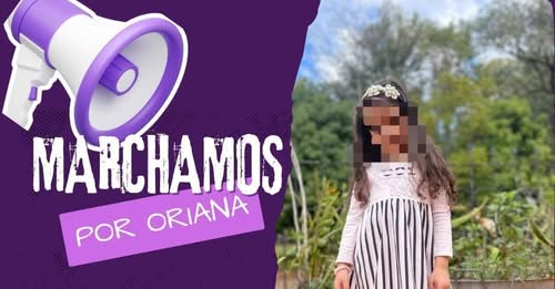 Conflicto familiar: harán una marcha para reclamar la tenencia de una niña de cuatro años, su familia materna denuncia que sufre maltrato de la madrastra imagen-34