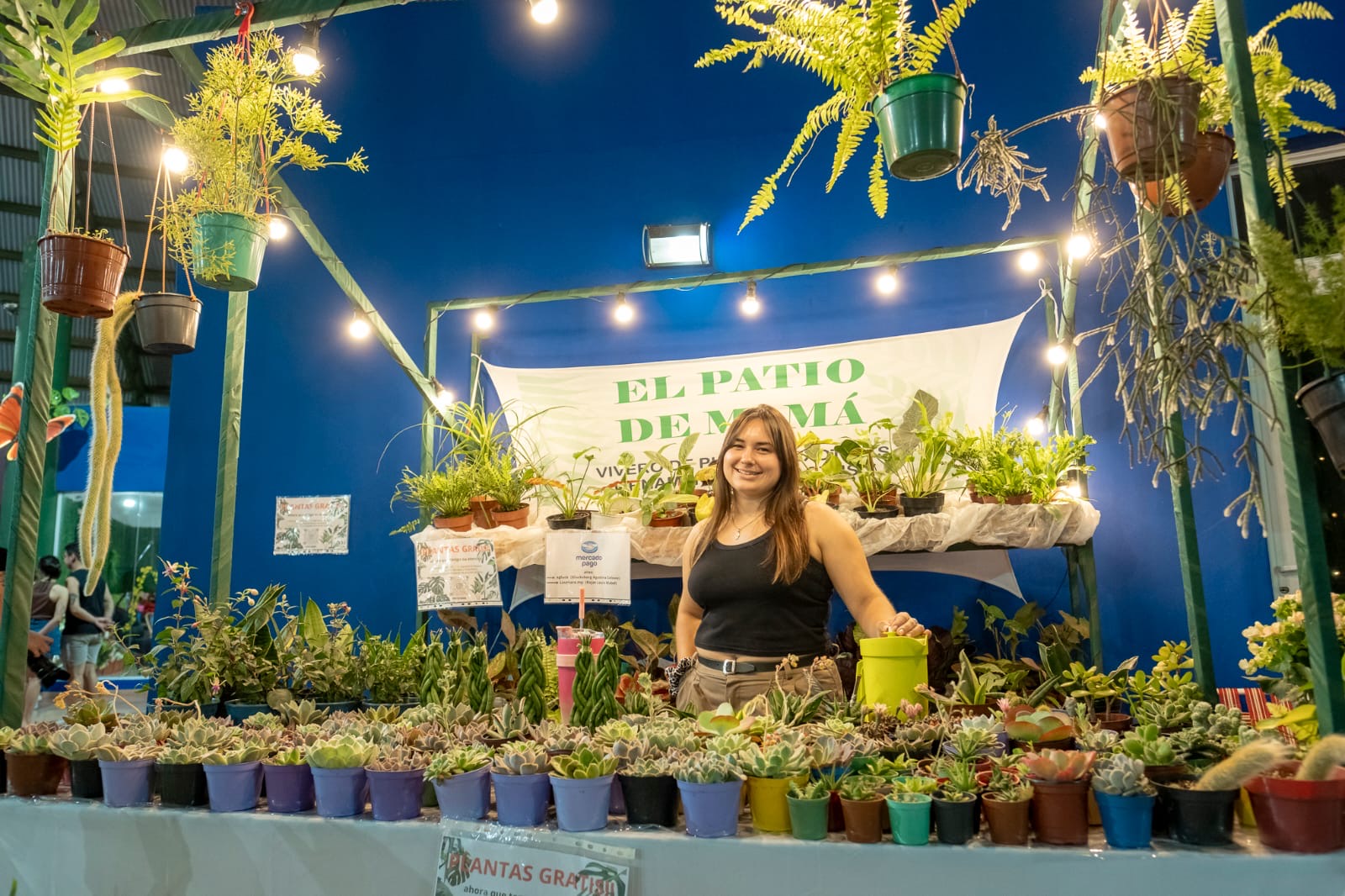 Passalacqua: “En Misiones tenemos todas las condiciones para construir un núcleo económico fuerte a partir de la producción de flores” imagen-18