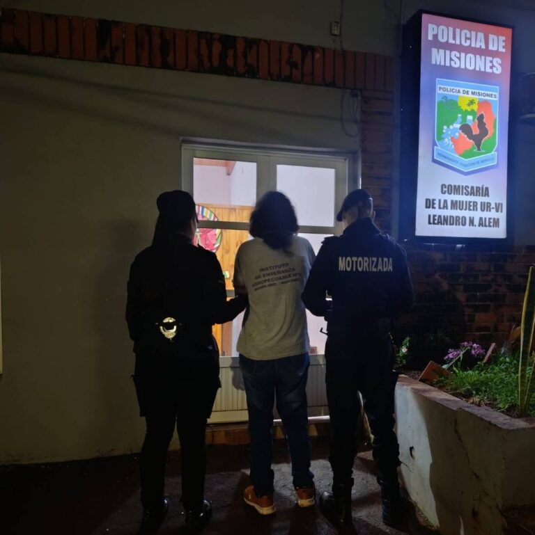 Intentaron robar en un instituto terciario de Alem pero dejaron rastros: una joven fue demorada imagen-47