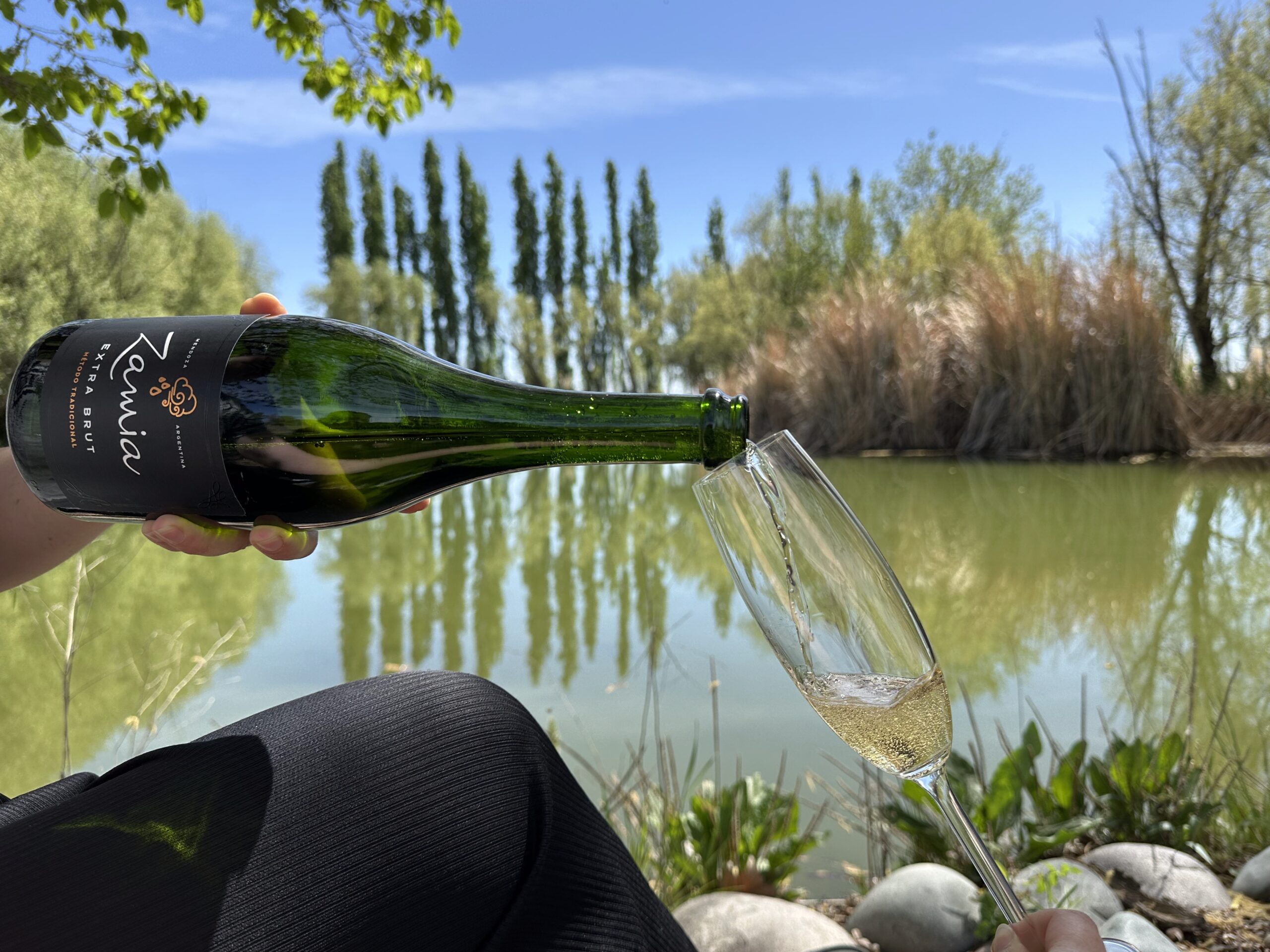 Día Internacional del Champagne: el secreto detrás de las burbujas Día Internacional del Champagne: el secreto detrás de las burbujas imagen-1