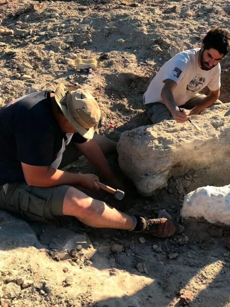 Tras su paso por Mar del Plata, el CONICET transmitió en vivo la búsqueda de fósiles de dinosaurios en la Patagonia imagen-7