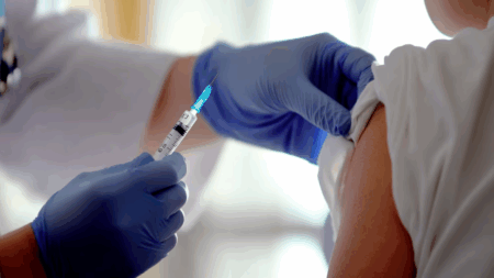 Aumentaron los casos de fiebre amarilla en Latinoamérica: quiénes deben vacunarse en Argentina imagen-10