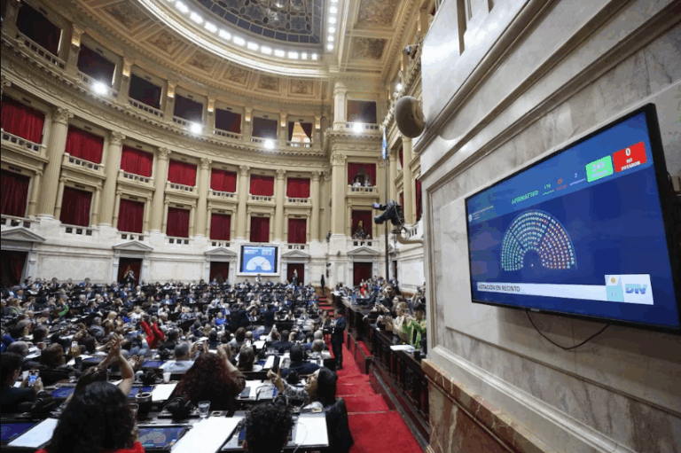 Diputados: impulsan un proyecto para comenzar a trabajar en la reforma laboral y revisar la Ley de Coparticipación imagen-42