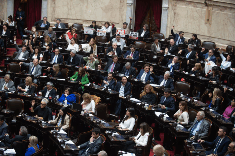 Quiénes son los nuevos diputados y cuáles terminan su mandato el próximo 10 de diciembre imagen-20