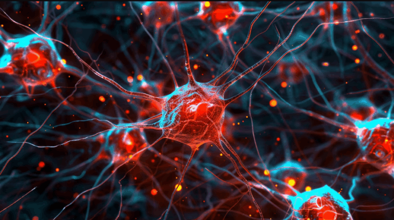 Día Mundial del ACV: El 60% de la población no sabe cómo actuar ante un accidente cerebrovascular imagen-18