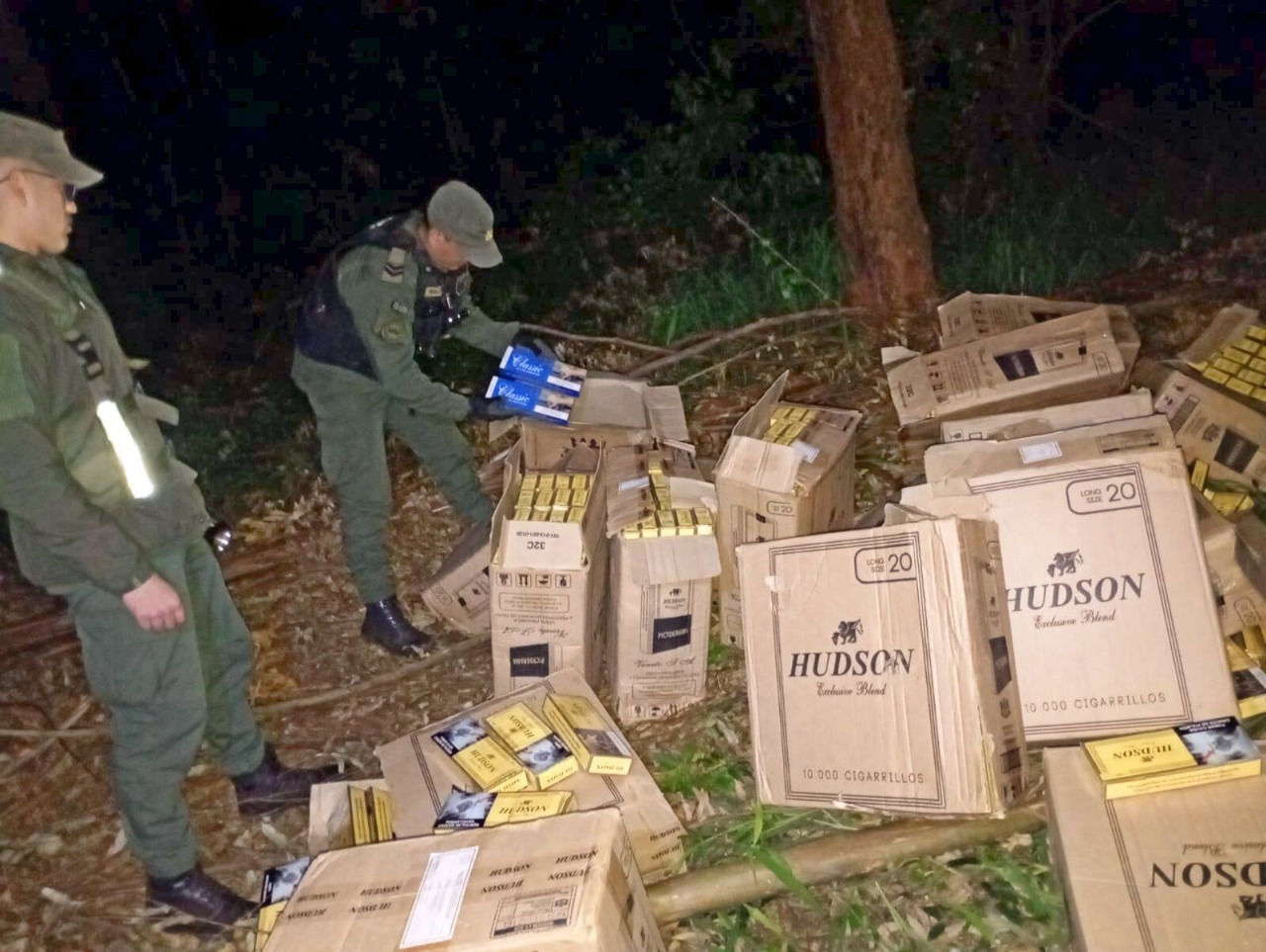 Conductor abandona un cargamento de 26.440 paquetes de cigarrillos extranjeros sobre una plantación de pinos 3 Conductor abandona un cargamento de 26.440 paquetes de cigarrillos extranjeros sobre una plantación de pinos imagen-2