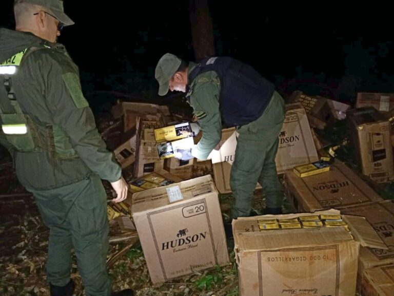 Conductor abandona un cargamento de 26.440 paquetes de cigarrillos extranjeros sobre una plantación de pinos imagen-25