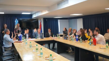 Se realizó en la Legislatura la audiencia pública para candidatos a la Justicia provincial imagen-9