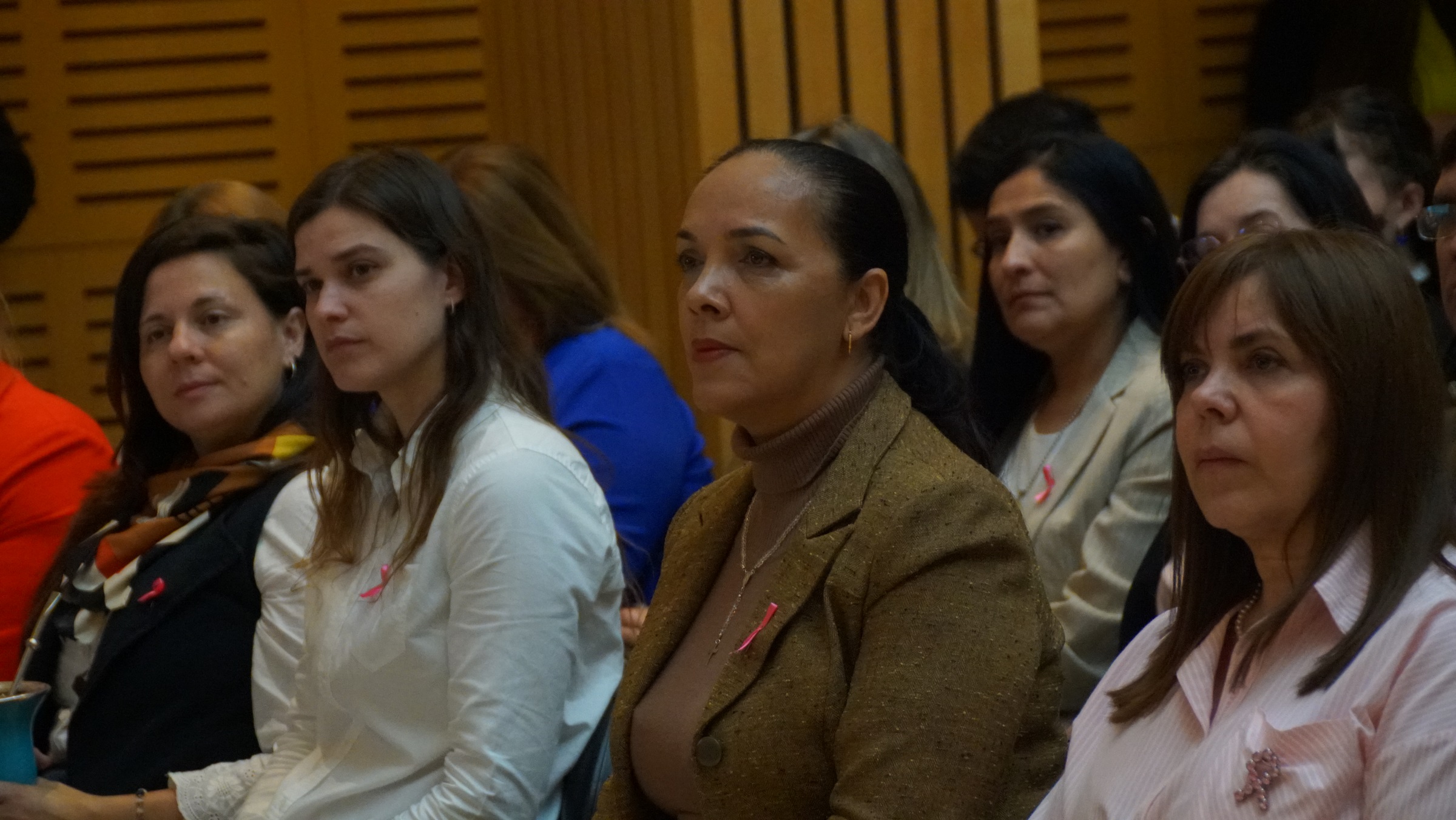 Presentaron en la Legislatura un manual sobre el acoso sexual en línea contra menores de edad imagen-10