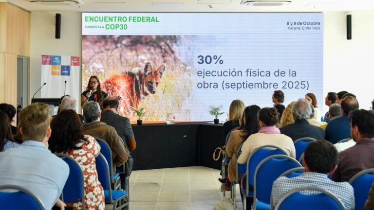 Misiones brilló en el Encuentro Federal Camino a la COP30 en Paraná imagen-9