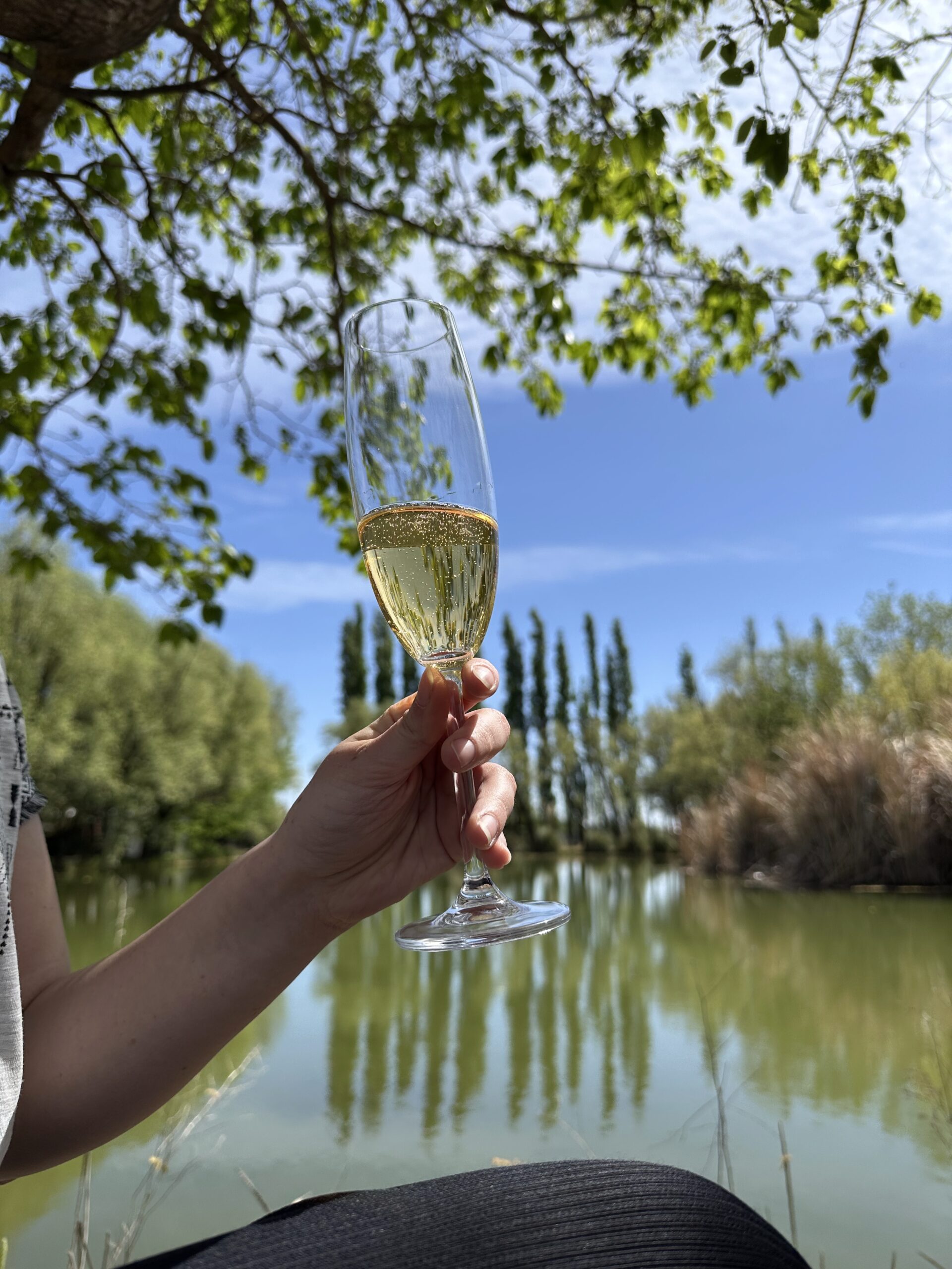 Día Internacional del Champagne: el secreto detrás de las burbujas 3 Día Internacional del Champagne: el secreto detrás de las burbujas imagen-2