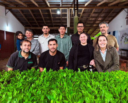 El Ministerio del Agro y la Biofábrica impulsan las chacras multiproductivas con entrega de plantines hortícolas y frutales en Bernardo de Irigoyen imagen-6