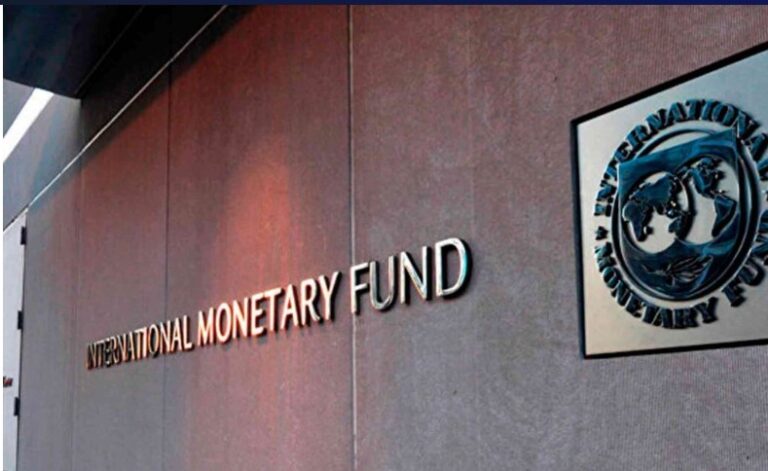 El FMI empeoró sus estimaciones para la economía argentina: proyecta menos crecimiento y más inflación imagen-45