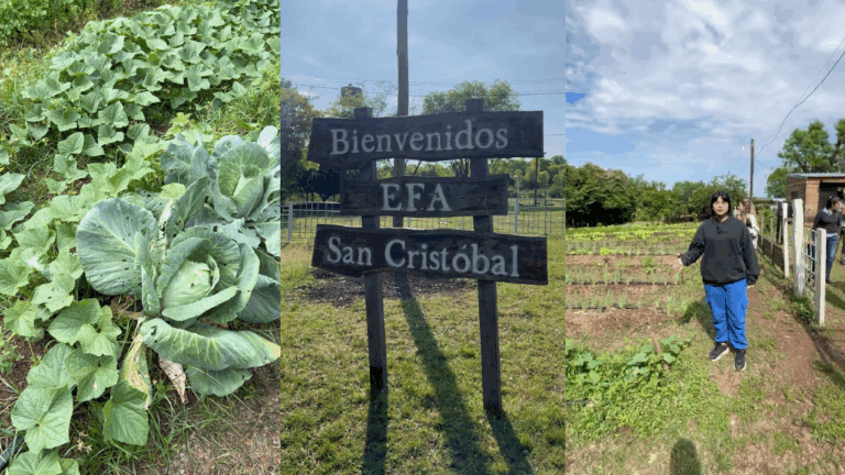 La Mujer Rural Misionera: iniciativa invita a adolescentes a documentar la vida, el trabajo y las tradiciones de las mujeres del campo imagen-41