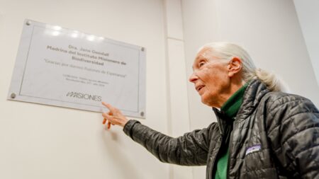 Murió Jane Goodall, reconocida primatóloga: "Misiones te agradece de corazón. Tu legado vivirá por siempre", expresó Passalacqua imagen-3