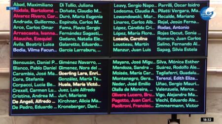 El Senado rechazó los vetos a las leyes de Financiamiento Universitario y de fondos para el Garrahan imagen-4