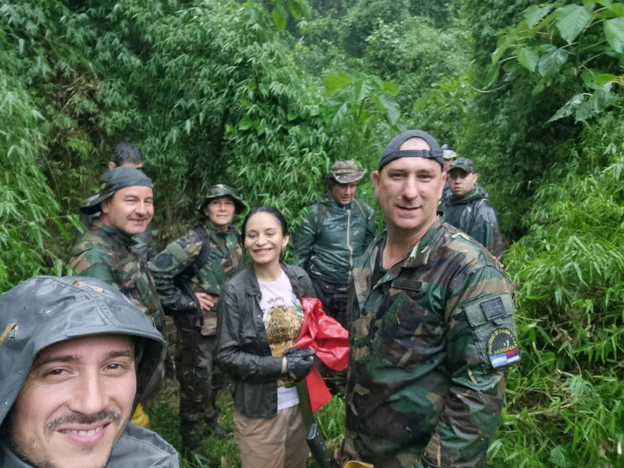 Puerto Iguazú: en un operativo inédito en el país, la yaguareté Pará y sus cachorros fueron capturados y relocalizados en un área natural protegida 3 Puerto Iguazú: en un operativo inédito en el país, la yaguareté Pará y sus cachorros fueron capturados y relocalizados en un área natural protegida imagen-2