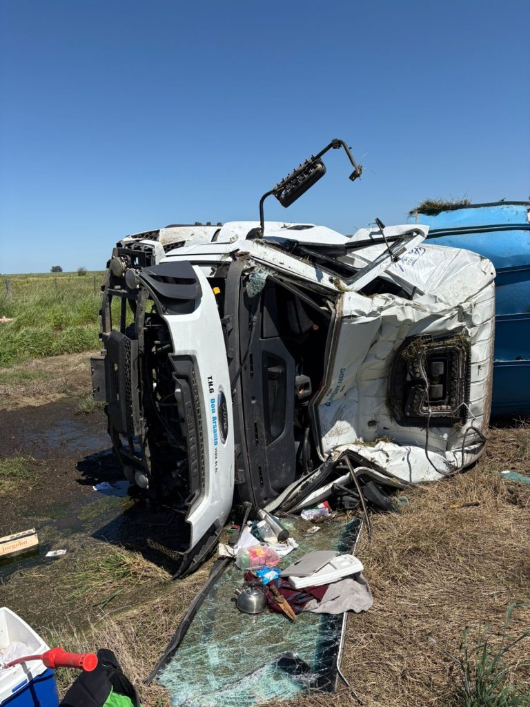 Volcó un camión con cerdos en la Ruta 7 y los vecinos se llevaron la carga 3 Volcó un camión con cerdos en la Ruta 7 y los vecinos se llevaron la carga imagen-2