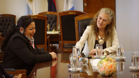 Autoridades de Gaia presentaron Invictus al Superior Tribunal de Justicia misionero imagen-10