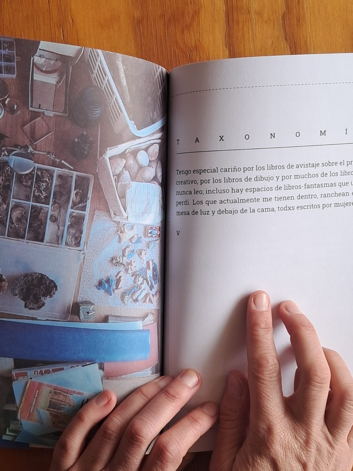 Melina Alzogaray presenta en Posadas “Acuáticos”, su libro ilustrado que narra un viaje por la selva misionera acompañado de música y diálogo creativo imagen-8