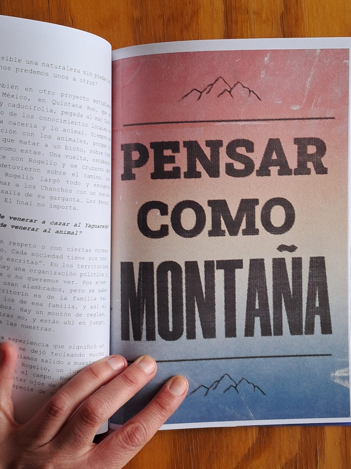 Melina Alzogaray presenta en Posadas “Acuáticos”, su libro ilustrado que narra un viaje por la selva misionera acompañado de música y diálogo creativo imagen-4