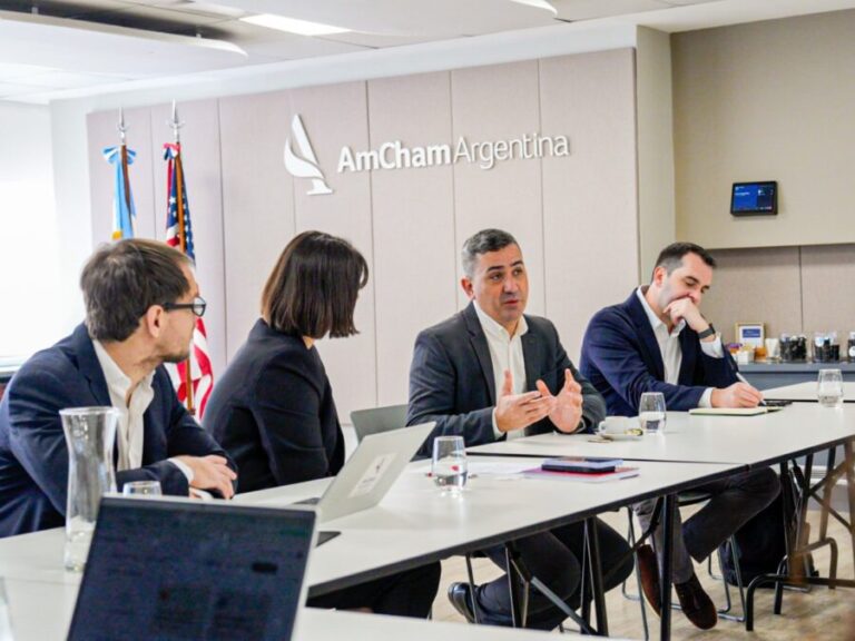 Misiones avanza en una agenda de cooperación con la Cámara de Comercio de EEUU en Argentina imagen-39