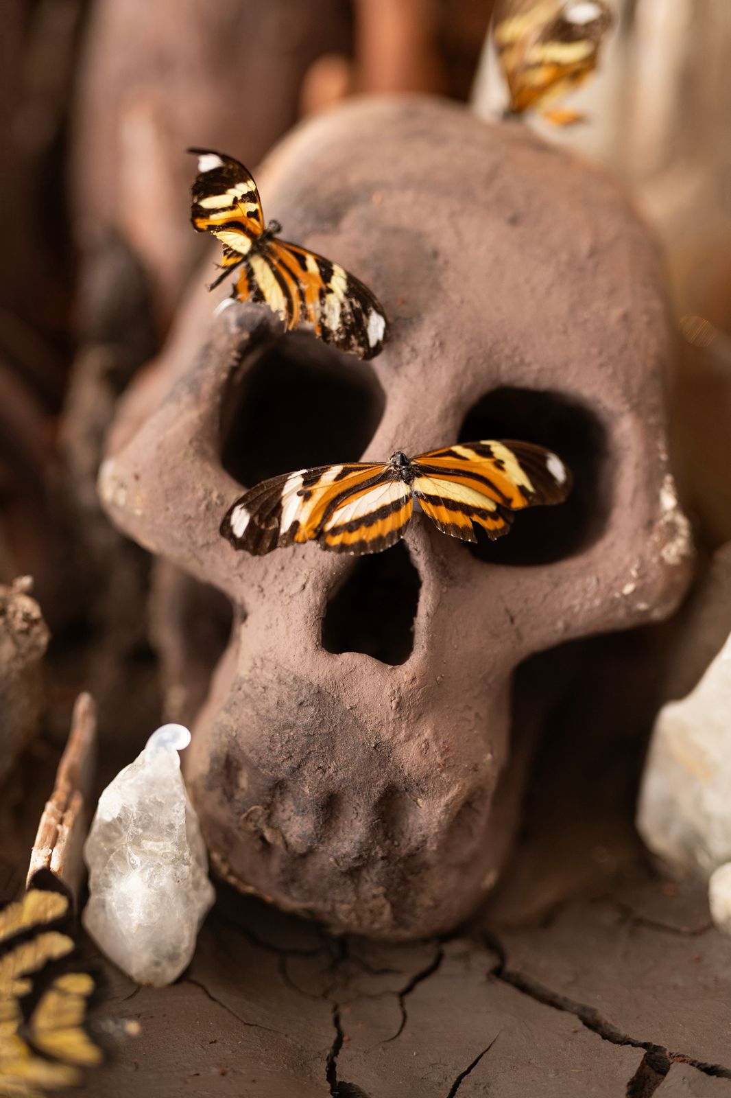 De la mano del artista Andrés Paredes, Misiones llega al Museo Sivori, de CABA imagen-4