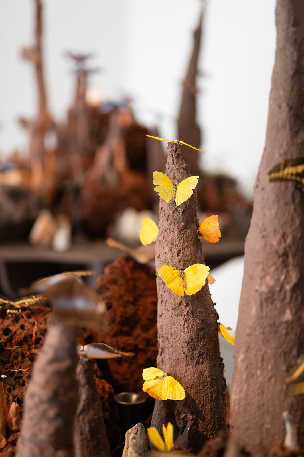 De la mano del artista Andrés Paredes, Misiones llega al Museo Sivori, de CABA imagen-10