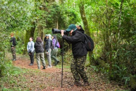 Misiones se suma al Big Day 2025 imagen-7