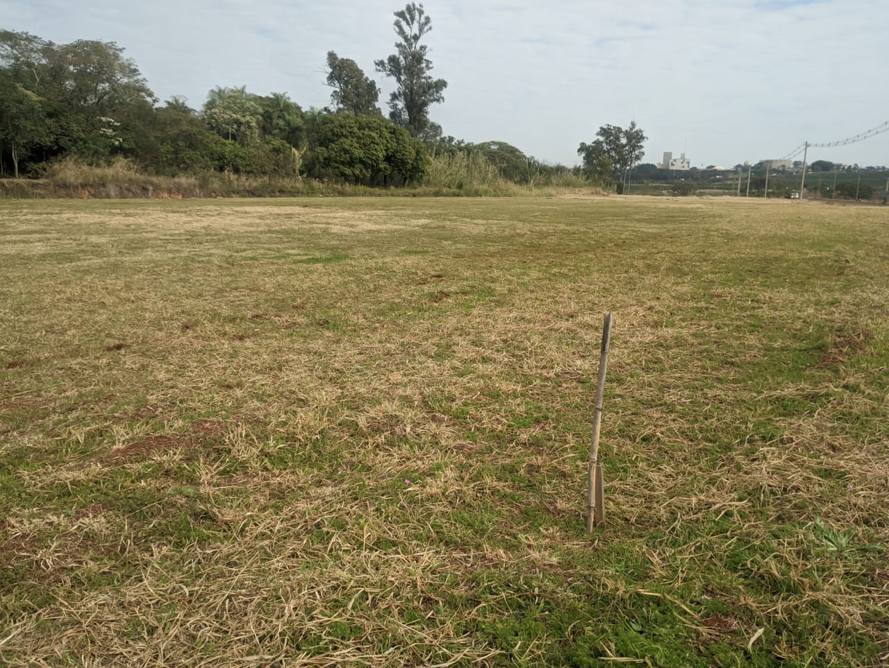 Bicho Posadeño en la alerta: la EBY pide devolución del predio de la costanera imagen-6