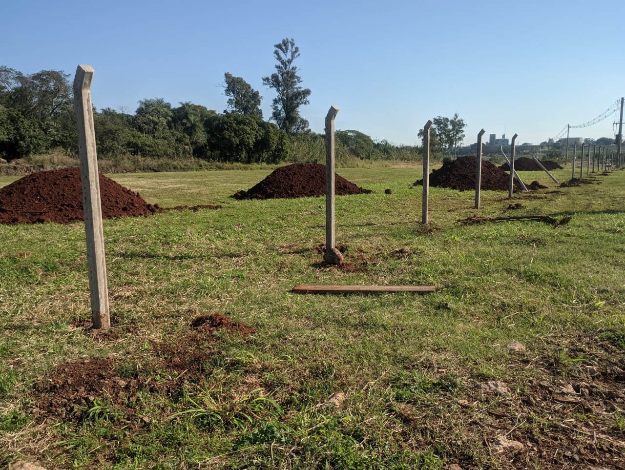 Bicho Posadeño en la alerta: la EBY pide devolución del predio de la costanera imagen-8