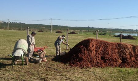 Bicho Posadeño en la alerta: la EBY pide devolución del predio de la costanera imagen-10