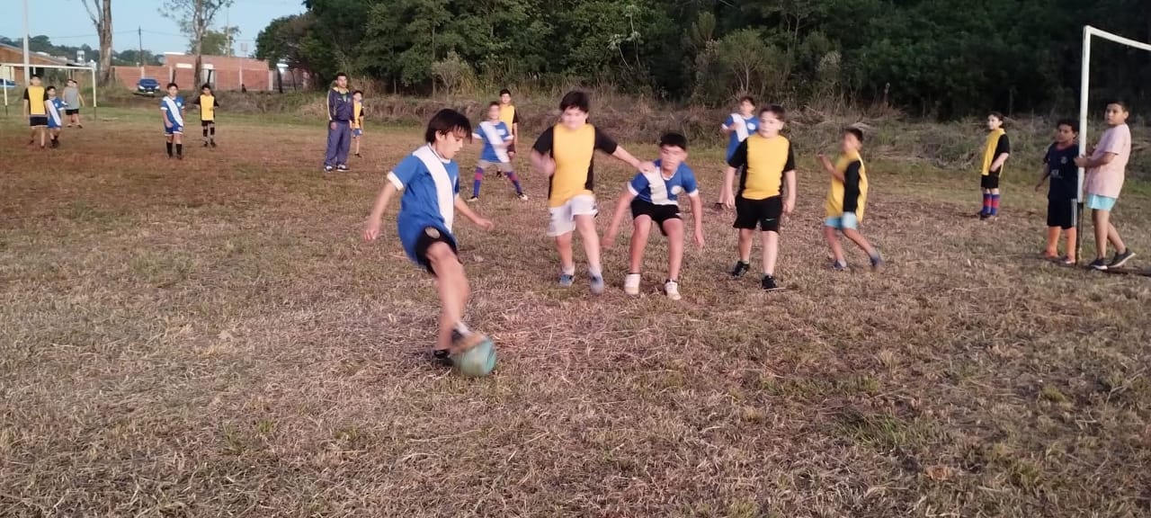 Bicho Posadeño en la alerta: la EBY pide devolución del predio de la costanera imagen-2