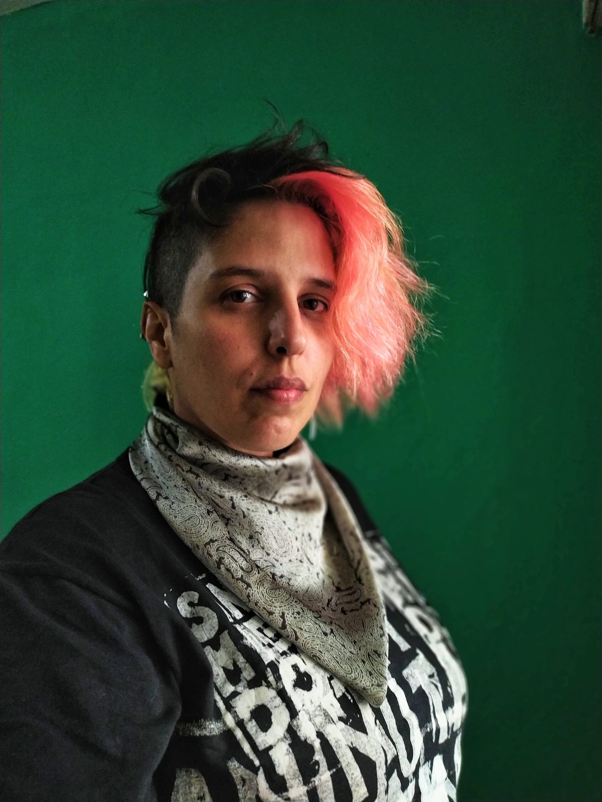 Proyección y conversatorio con Manuel Abramovic y Camil Polo en Posadas imagen-4