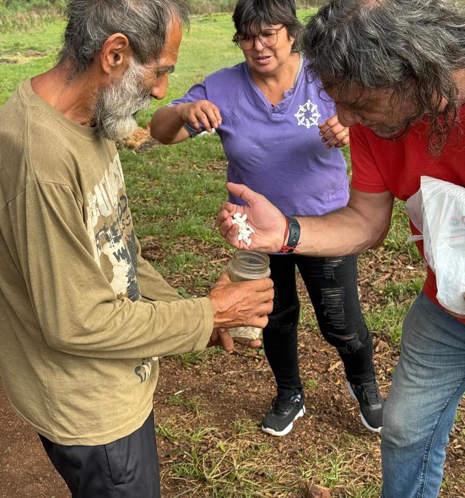 Con trabajo y alegría vecinos de Mártires recuperan una chacra y la vida en comunidad imagen-2