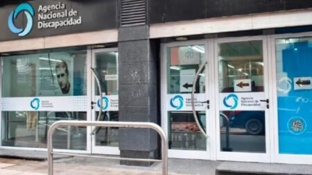 Discapacidad: ANDIS restableció las pensiones suspendidas por orden judicial imagen-4