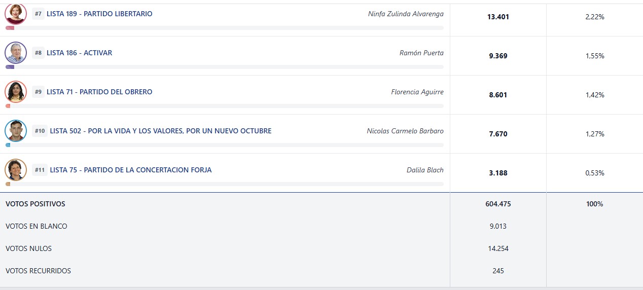 En Misiones, los resultados repiten el escenario de 2023: triunfo libertario y la Renovación mantiene su protagonismo provincial 9 En Misiones, los resultados repiten el escenario de 2023: triunfo libertario y la Renovación mantiene su protagonismo provincial imagen-8