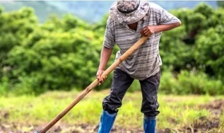 Tras gestiones de Passalacqua, Nación prorrogó por un año el régimen que permite compatibilizar programas sociales con empleo registrado imagen-3