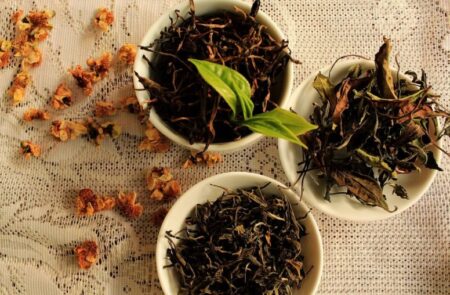 El sello "Té Argentino" consolida la calidad de origen y trazabilidad de la producción tealera misionera imagen-1