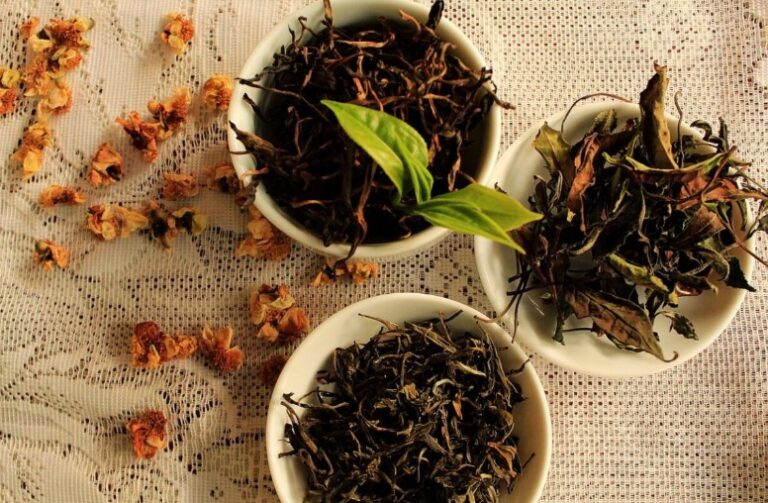 El sello "Té Argentino" consolida la calidad de origen y trazabilidad de la producción tealera misionera imagen-14