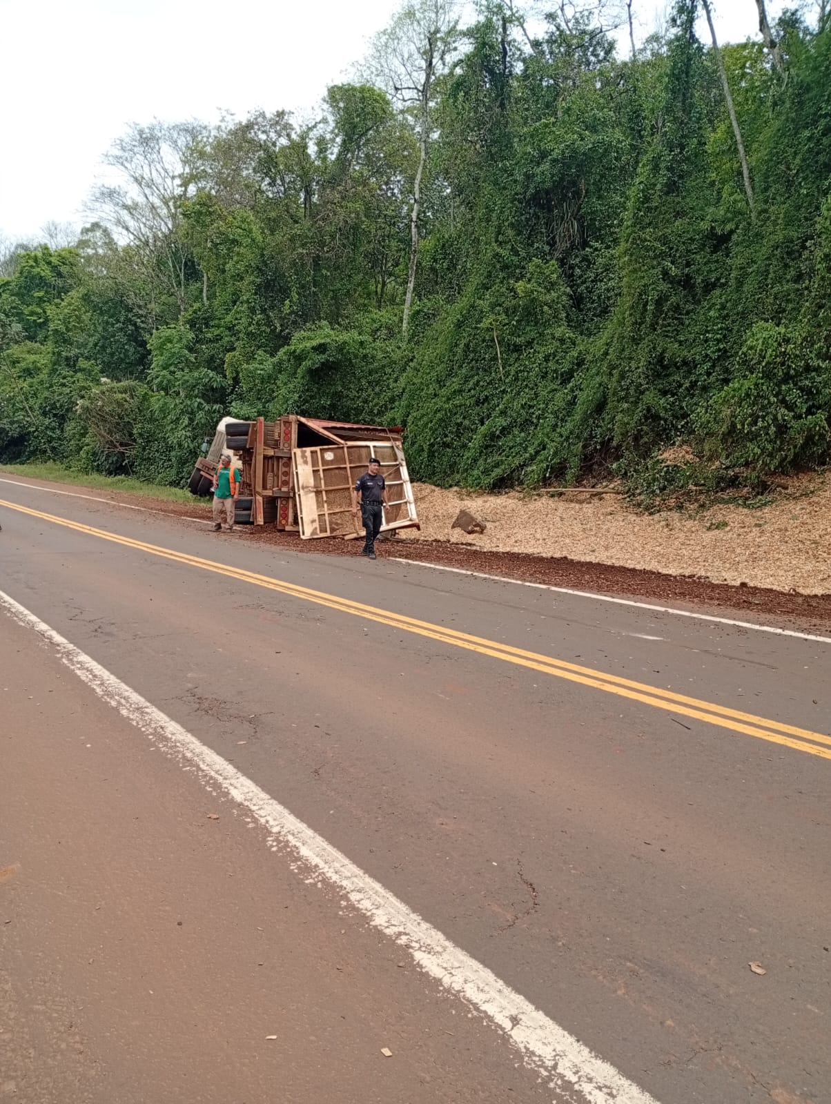 Siniestro vial: camión despistó sobre Ruta 12 en Puerto Piray 3 Siniestro vial: camión despistó sobre Ruta 12 en Puerto Piray imagen-2