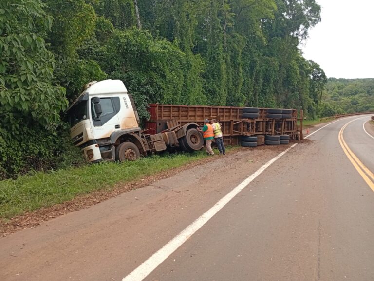 Siniestro vial: camión despistó sobre Ruta 12 en Puerto Piray imagen-8