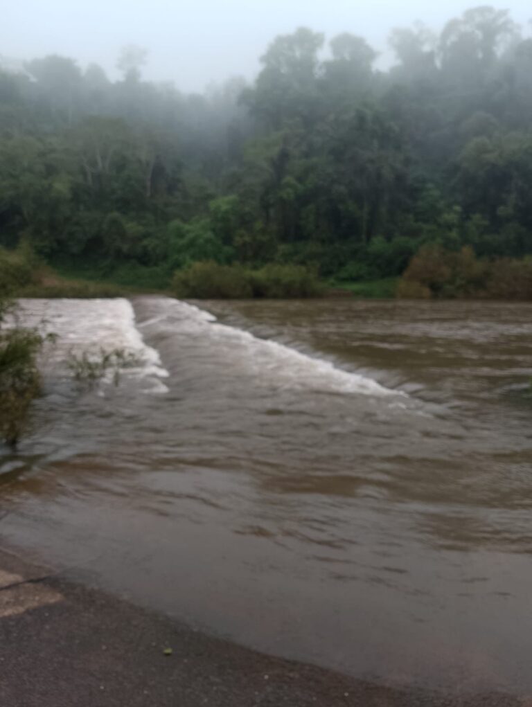 Sigue cerrado el Parque Provincial Moconá y el Uruguay sigue creciendo imagen-36
