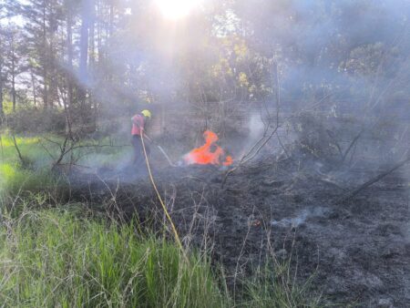 Incendio de malezas sobre ruta nacional 12 a la altura de Santa Ana imagen-9