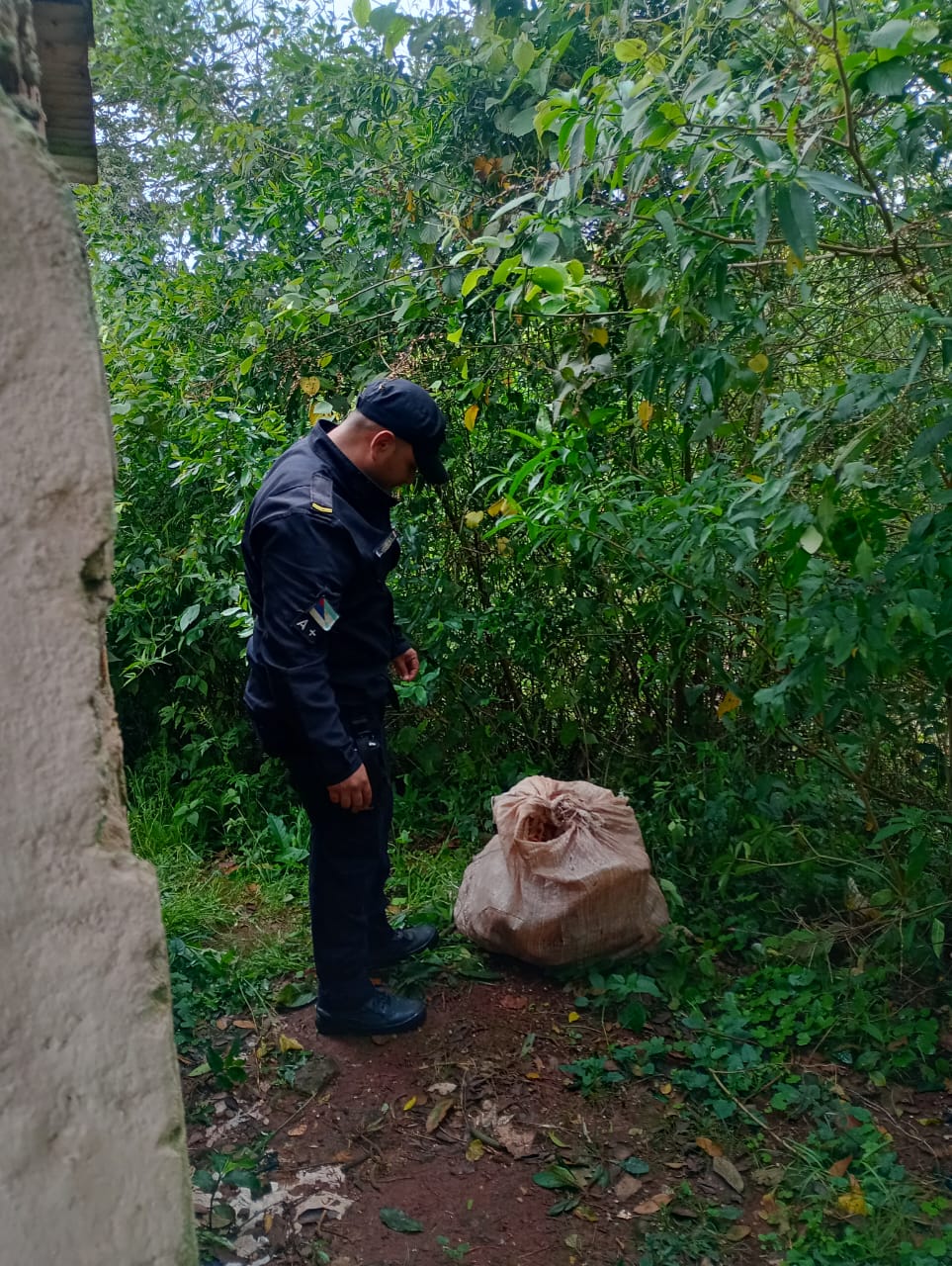 Policía de Misiones frustró el traslado de cobre y bronce robados y mantiene cercado al sospechoso en el monte imagen-2