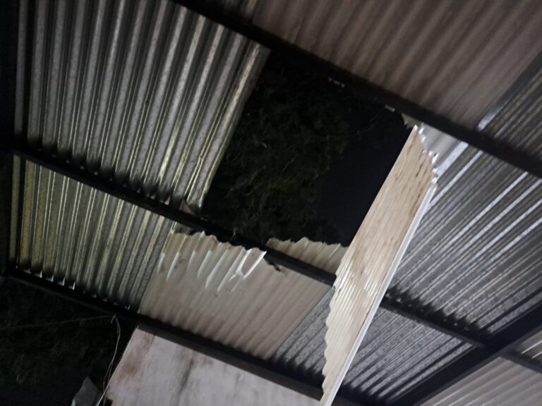 Un hombre falleció tras caer del techo de su vivienda en Posadas imagen-46